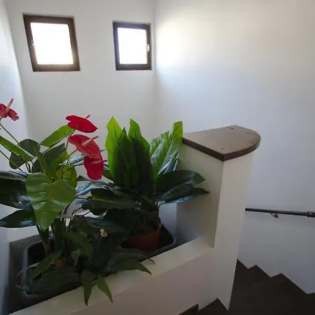 Nahar Apartment *